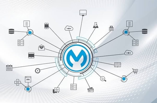 The Scope of MuleSoft